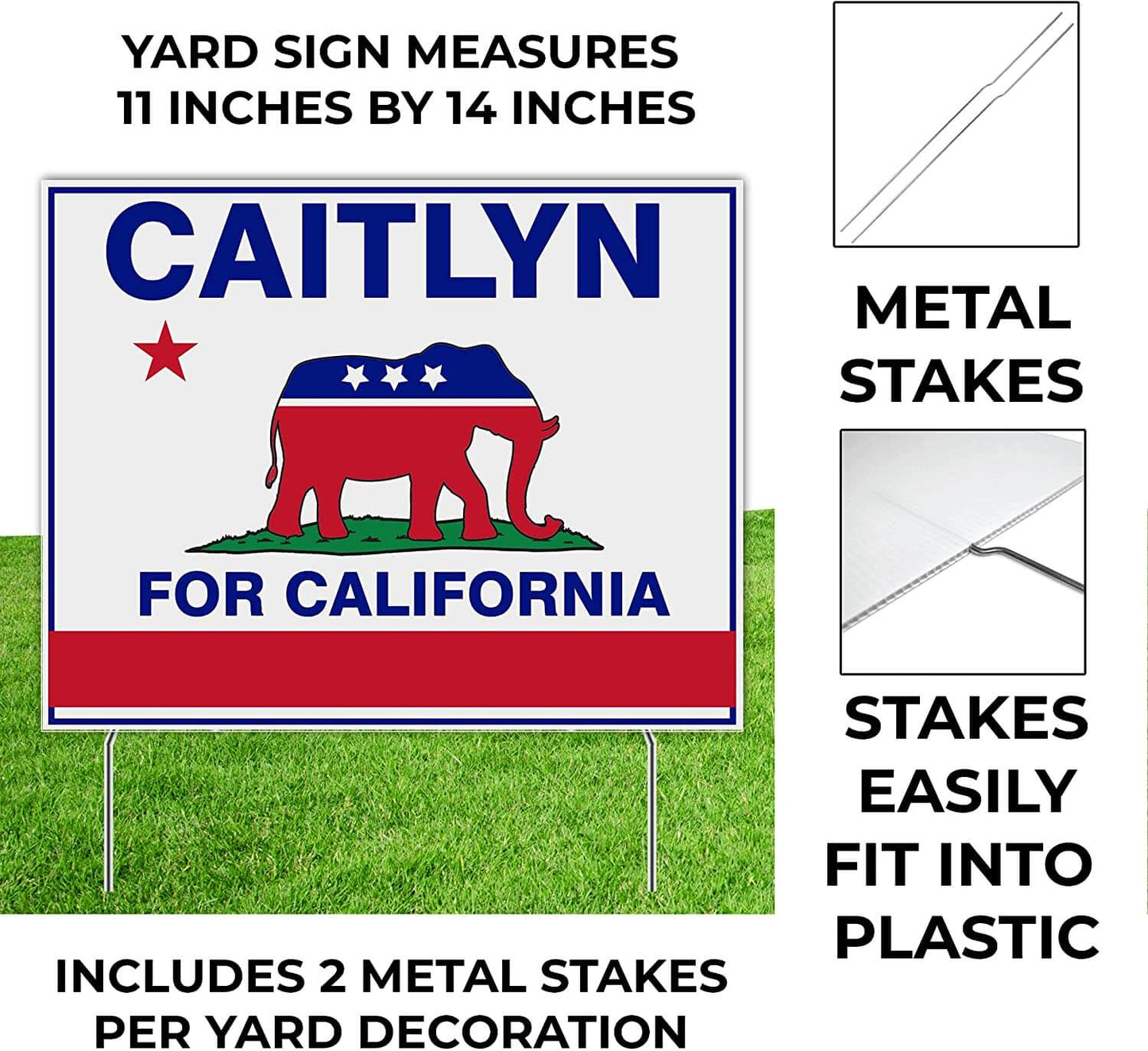 Caitlyn for California yard sign